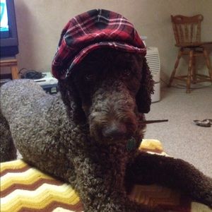 Meet your Posher, Kyrie